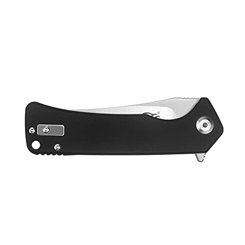 GANZO Firebird FH923-BK Pocket Folding Knife D2 Steel Blade G10 