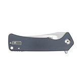 Ganzo Firebird FH923 Folding Pocket Knife Razor Sharp D2 Stainless Steel Blade Sturdy and Comfortable G10 Handle with Clip Perfect Size EDC Tool Smooth Action Outdoor Foldable Pocket Knife Hunting Fishing Hiking Gear Best Gift for Men Husband Father (Grey