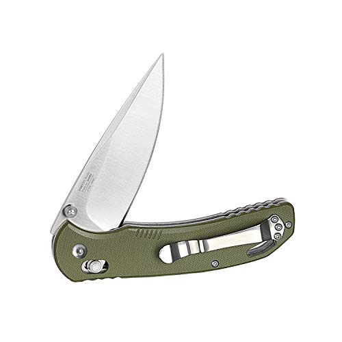 Closing knife Ganzo Firebird F753M1 green