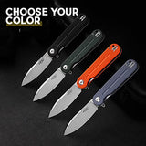 GANZO Firebird FH922-GB Pocket Folding Knife D2 Steel Blade G10 Anti-Slip Handle with Clip Camping Hunting Fishing Outdoor EDC Knife