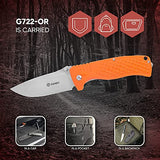 GANZO G722-OR Pocket Folding Knife 440C Stainless Steel Blade G10 Handle with Clip Camping Fishing Hunting EDC Knife (Orange)